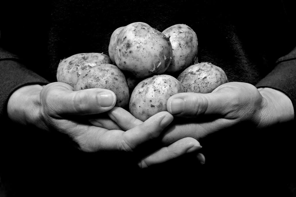 2021年馬鈴薯攝影大賽第三名〈Hands Holding New Potatoes〉，攝影者：John Glover。