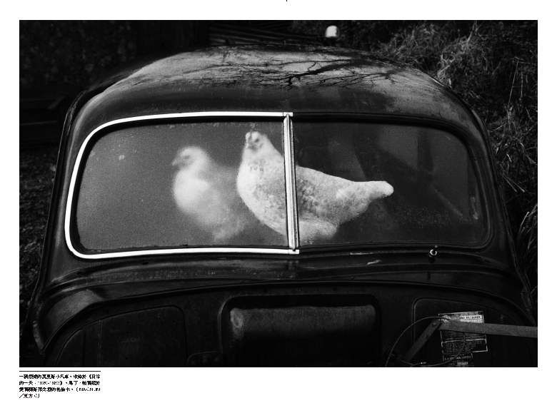 一輛廢棄的莫理斯小汽車。馬丁‧帕爾攝於愛爾蘭。（收錄於《日常的一天：1980-1983》）