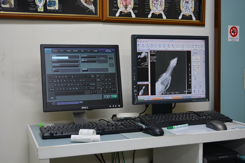 X光片數位化是野生動物急救站重要的醫療利器之一。