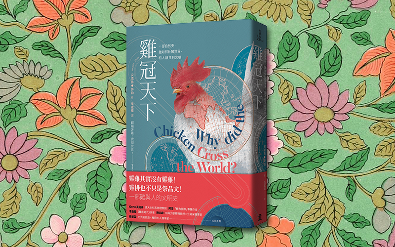 《雞冠天下》中文版書封。