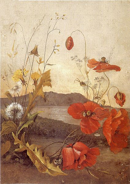 卡奧拉尼的繪畫作品：罌粟花。