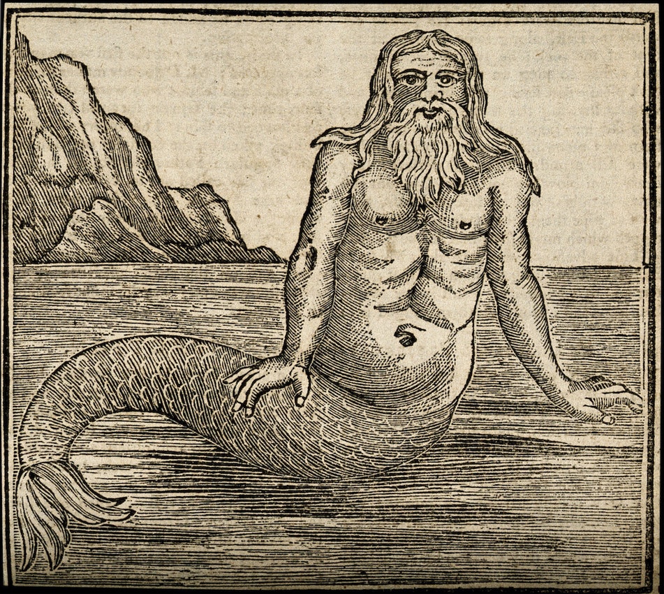 1761年雜誌的人魚插圖。