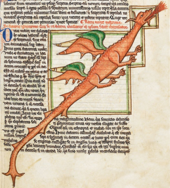 13世紀文本插圖中的龍。